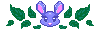 bunny border